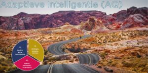 Artikelen | VerticalQ | Adaptieve Intelligentie (AQ)